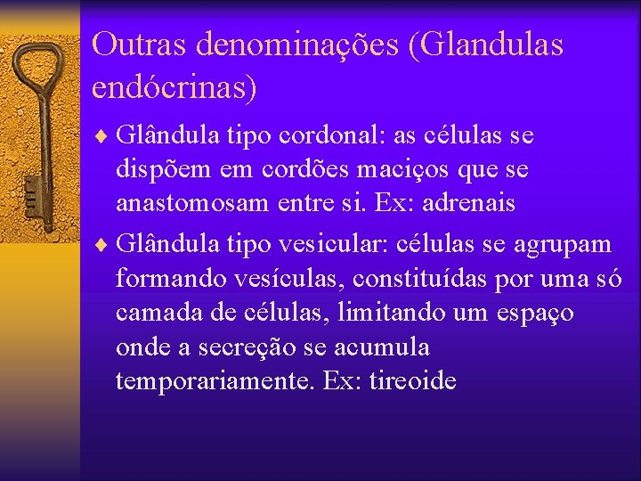 Outras denominações (Glandulas endócrinas) ¨ Glândula tipo cordonal: as células se dispõem em cordões