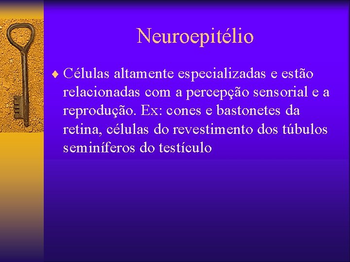 Neuroepitélio ¨ Células altamente especializadas e estão relacionadas com a percepção sensorial e a