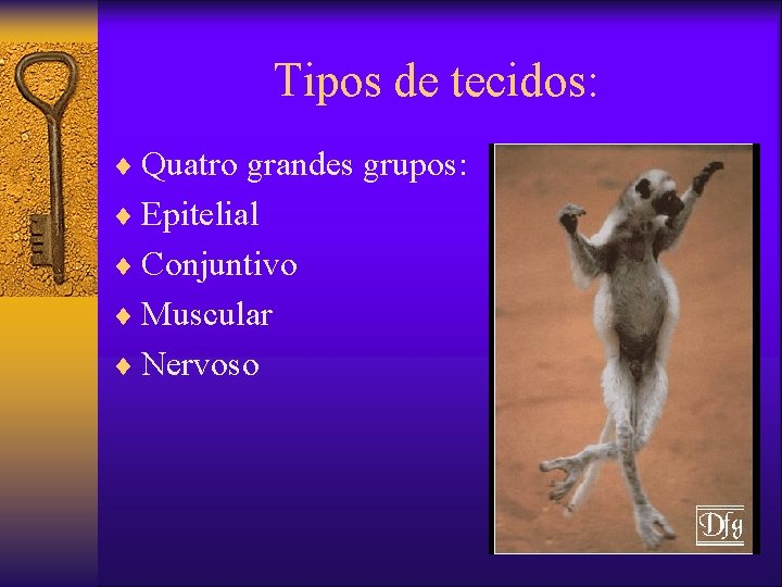 Tipos de tecidos: ¨ Quatro grandes grupos: ¨ Epitelial ¨ Conjuntivo ¨ Muscular ¨