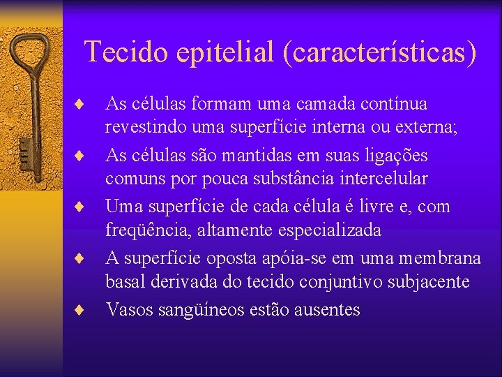 Tecido epitelial (características) ¨ ¨ ¨ As células formam uma camada contínua revestindo uma
