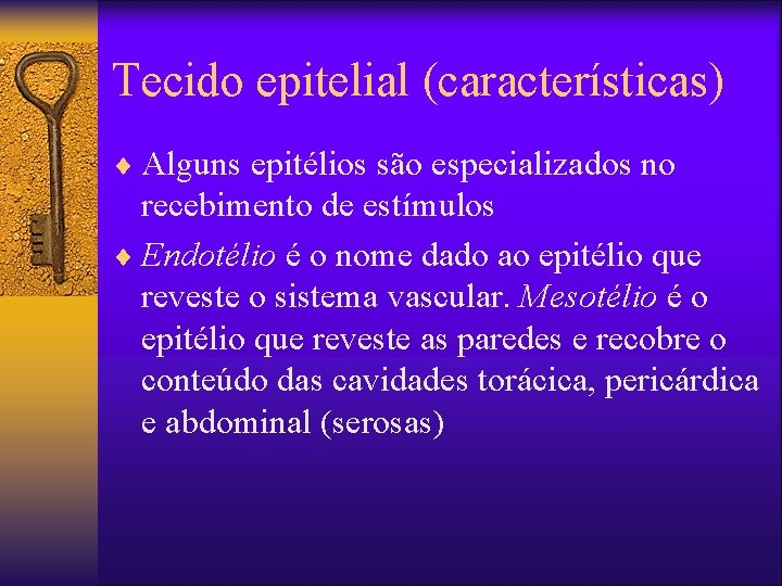 Tecido epitelial (características) ¨ Alguns epitélios são especializados no recebimento de estímulos ¨ Endotélio