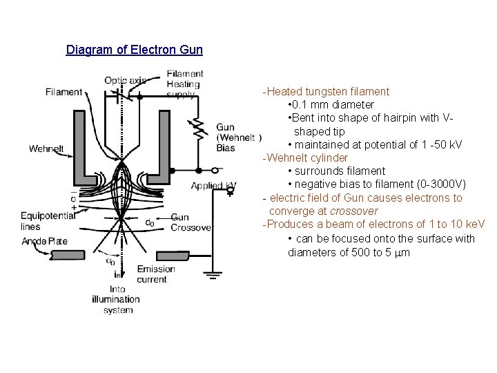 Diagram of Electron Gun -Heated tungsten filament • 0. 1 mm diameter • Bent