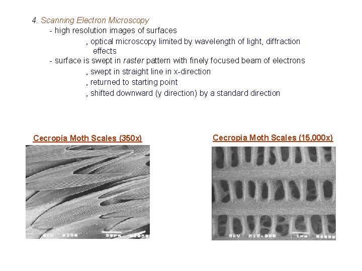 4. Scanning Electron Microscopy - high resolution images of surfaces ‚ optical microscopy limited