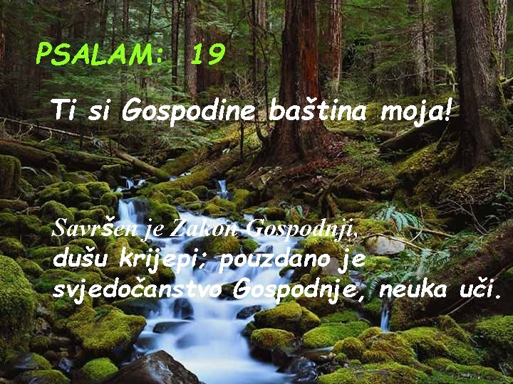 PSALAM: 19 Ti si Gospodine baština moja! Savršen je Zakon Gospodnji, dušu krijepi; pouzdano