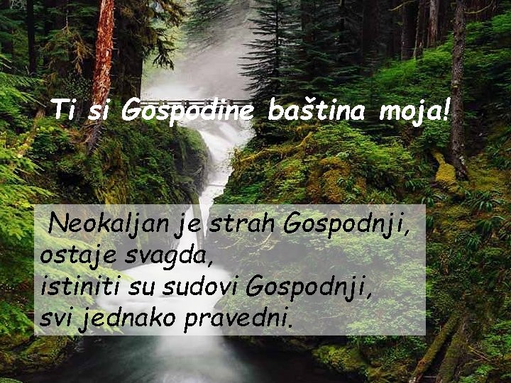 Ti si Gospodine baština moja! Neokaljan je strah Gospodnji, ostaje svagda, istiniti su sudovi