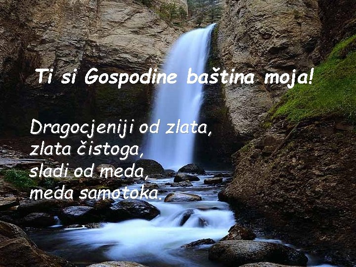 Ti si Gospodine baština moja! Dragocjeniji od zlata, zlata čistoga, sladi od meda, meda