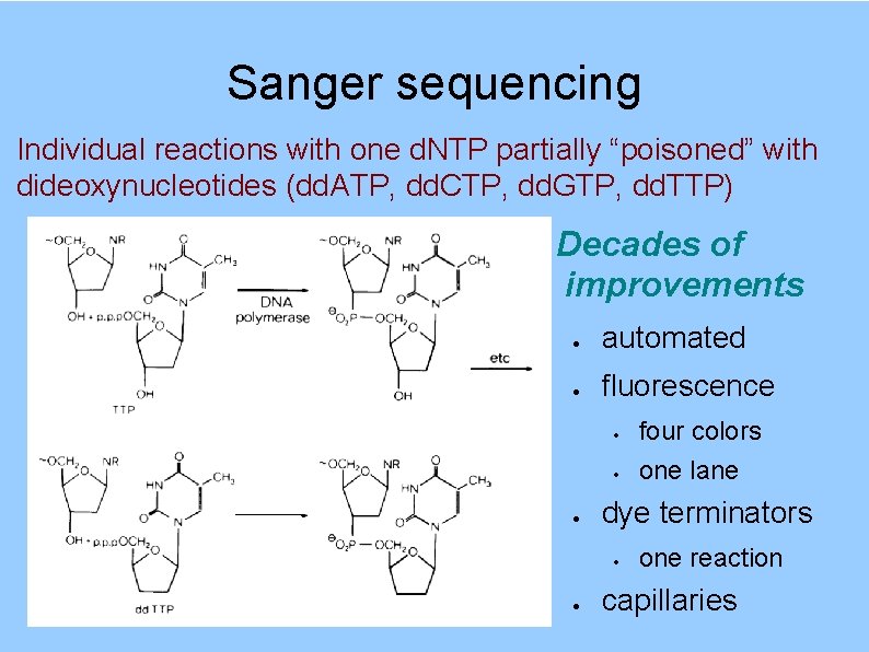 Sanger sequencing Individual reactions with one d. NTP partially “poisoned” with dideoxynucleotides (dd. ATP,