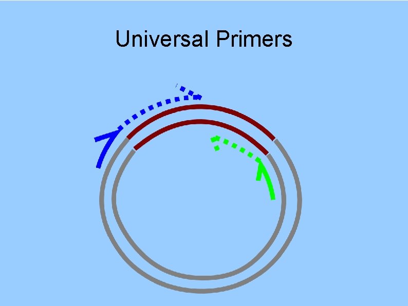 Universal Primers 