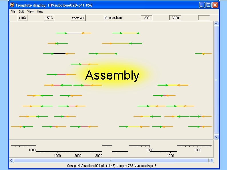 Assembly 