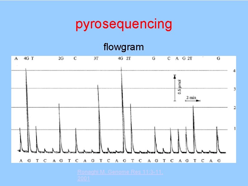 pyrosequencing flowgram Ronaghi M. Genome Res 11: 3 -11, 2001 