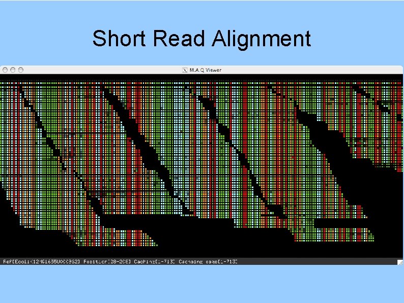 Short Read Alignment 