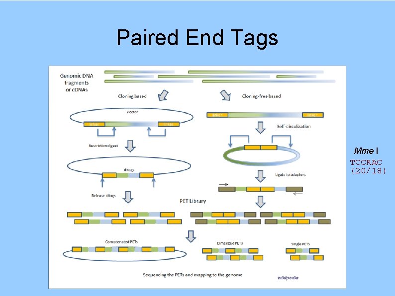 Paired End Tags Mme I TCCRAC (20/18) 