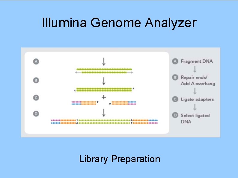 Illumina Genome Analyzer Library Preparation 