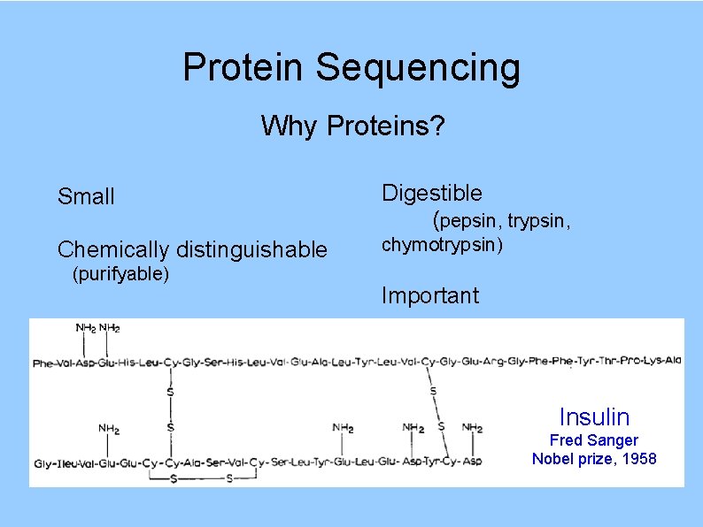 Protein Sequencing Why Proteins? Small Digestible (pepsin, trypsin, Chemically distinguishable chymotrypsin) (purifyable) Important Insulin