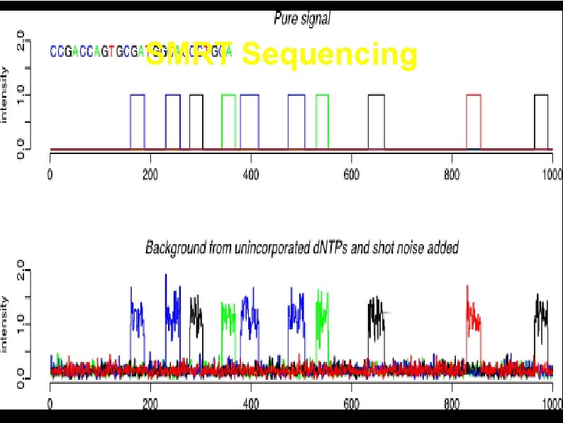 SMRT Sequencing 41 