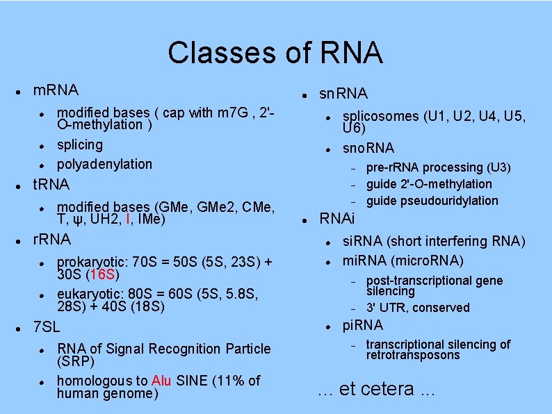 Classes of RNA modified bases (GMe, GMe 2, CMe, T, ψ, UH 2, I,