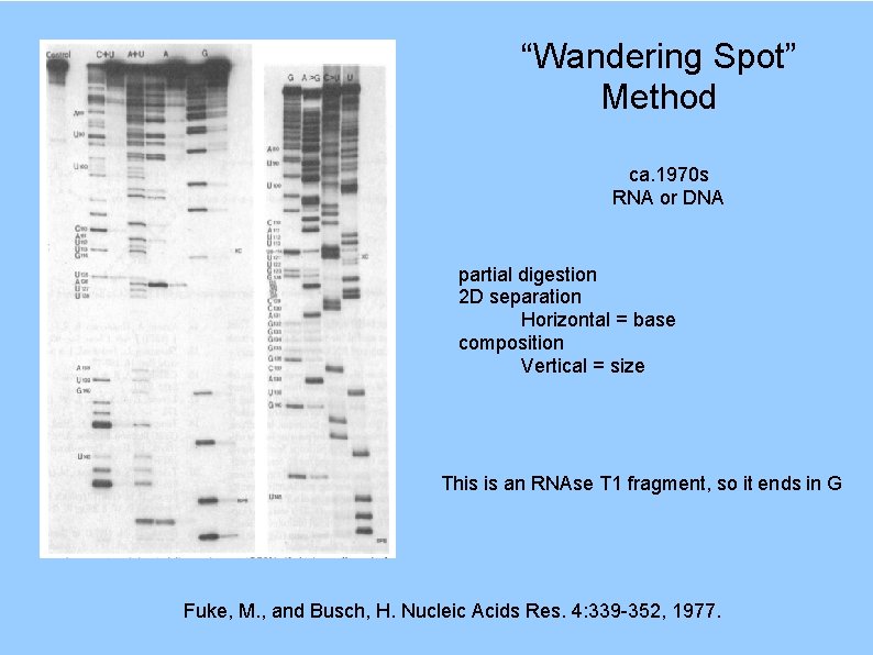 “Wandering Spot” Method ca. 1970 s RNA or DNA partial digestion 2 D separation