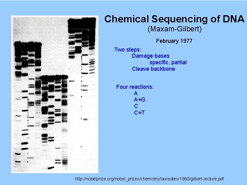 Chemical Sequencing of DNA (Maxam-Gilbert) February 1977 Two steps: Damage bases specific, partial Cleave