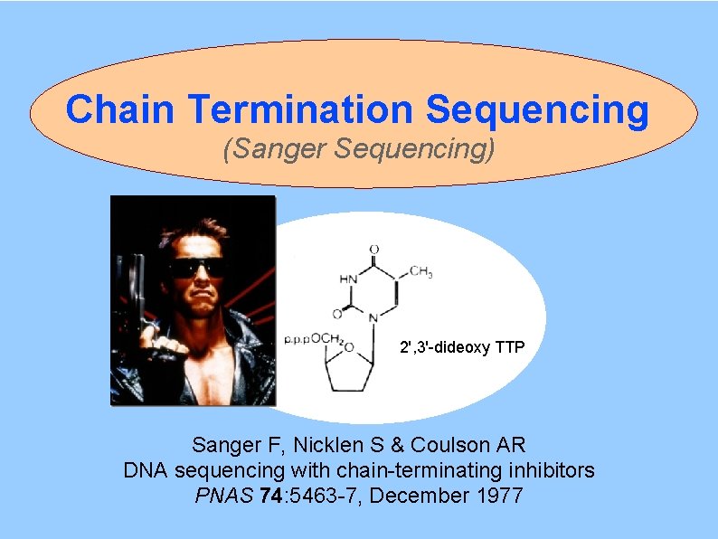 Chain Termination Sequencing (Sanger Sequencing) 2', 3'-dideoxy TTP Sanger F, Nicklen S & Coulson