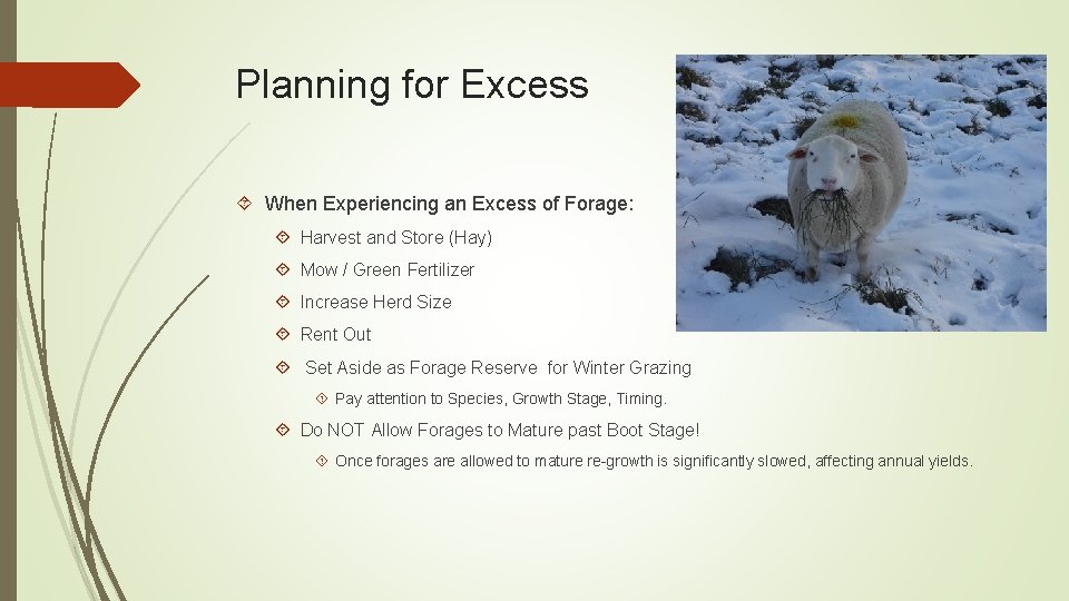 Planning for Excess When Experiencing an Excess of Forage: Harvest and Store (Hay) Mow