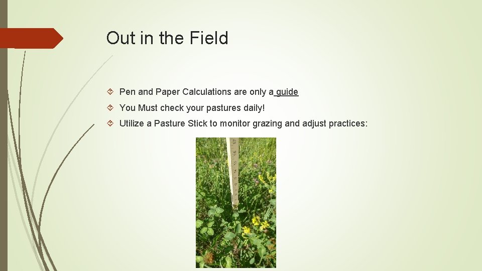 Out in the Field Pen and Paper Calculations are only a guide You Must