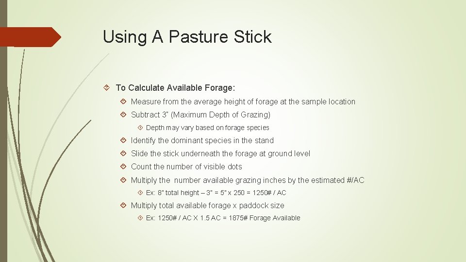 Using A Pasture Stick To Calculate Available Forage: Measure from the average height of