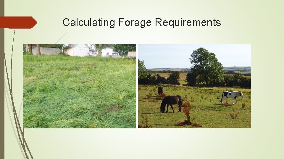 Calculating Forage Requirements 