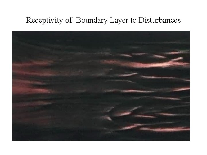 Receptivity of Boundary Layer to Disturbances 
