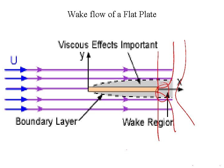 Wake flow of a Flat Plate 
