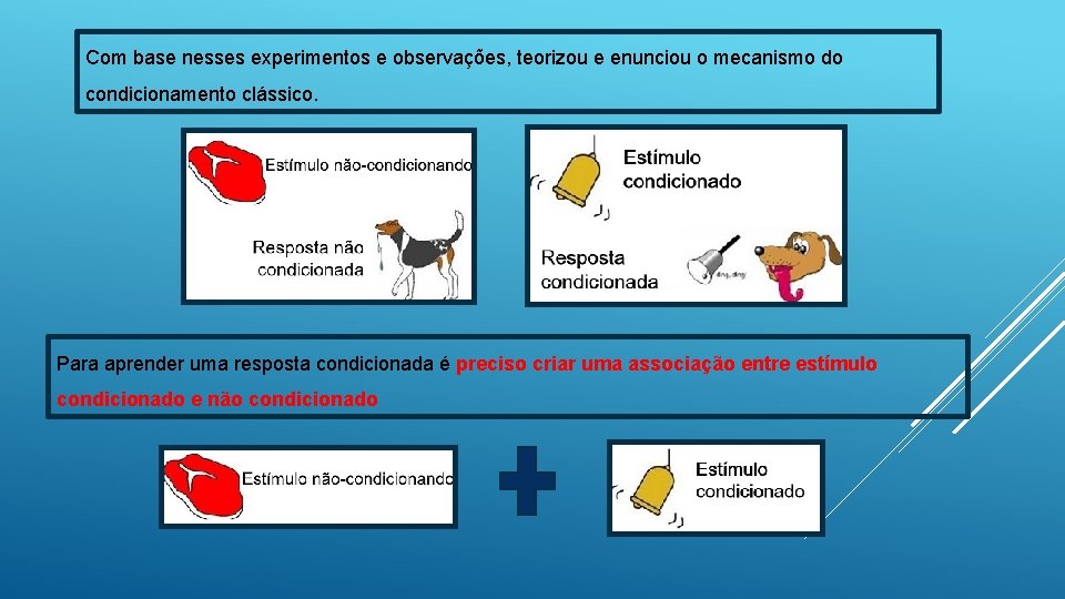 Com base nesses experimentos e observações, teorizou e enunciou o mecanismo do condicionamento clássico.