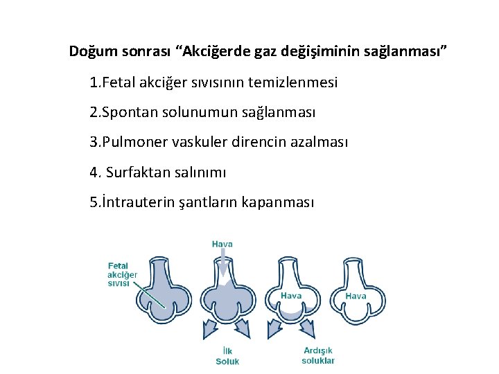 Doğum sonrası “Akciğerde gaz değişiminin sağlanması” 1. Fetal akciğer sıvısının temizlenmesi 2. Spontan solunumun