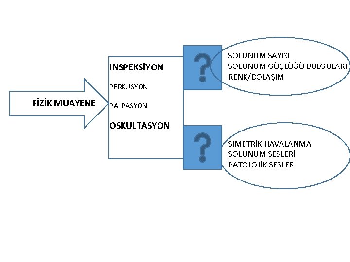 INSPEKSİYON SOLUNUM SAYISI SOLUNUM GÜÇLÜĞÜ BULGULARI RENK/DOLAŞIM PERKUSYON FİZİK MUAYENE PALPASYON OSKULTASYON SIMETRİK HAVALANMA