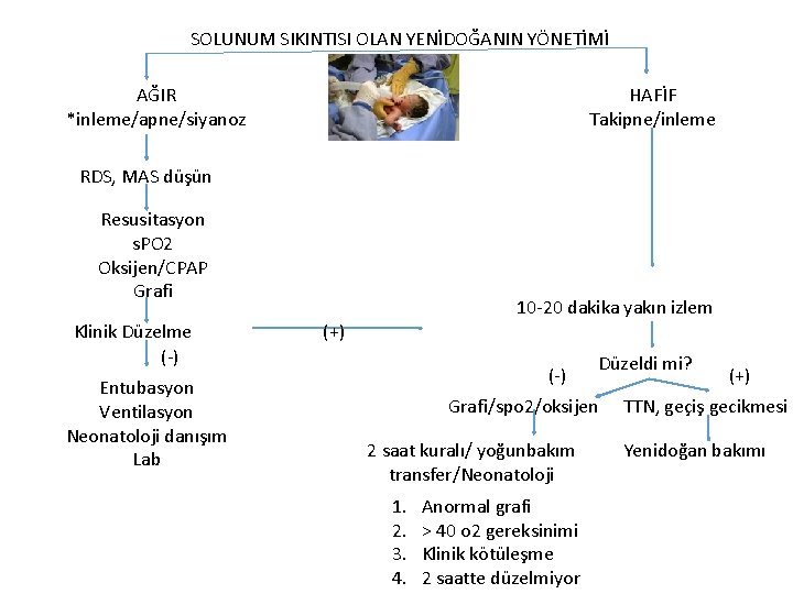 SOLUNUM SIKINTISI OLAN YENİDOĞANIN YÖNETİMİ AĞIR *inleme/apne/siyanoz HAFİF Takipne/inleme RDS, MAS düşün Resusitasyon s. SOLUNUM SIKINTISI OLAN YENİDOĞANIN YÖNETİMİ AĞIR *inleme/apne/siyanoz HAFİF Takipne/inleme RDS, MAS düşün Resusitasyon s.