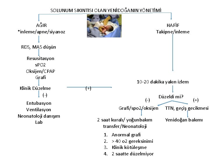 SOLUNUM SIKINTISI OLAN YENİDOĞANIN YÖNETİMİ AĞIR *inleme/apne/siyanoz HAFİF Takipne/inleme RDS, MAS düşün Resusitasyon s.