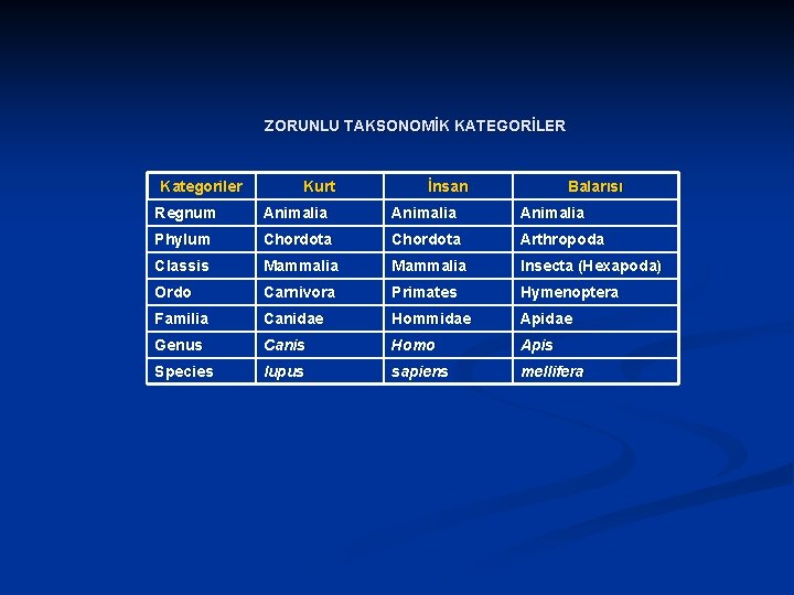 ZORUNLU TAKSONOMİK KATEGORİLER Kategoriler Kurt İnsan Balarısı Regnum Animalia Phylum Chordota Arthropoda Classis Mammalia