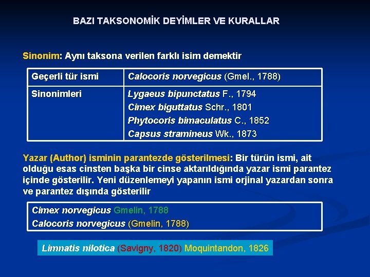 BAZI TAKSONOMİK DEYİMLER VE KURALLAR Sinonim: Aynı taksona verilen farklı isim demektir Geçerli tür