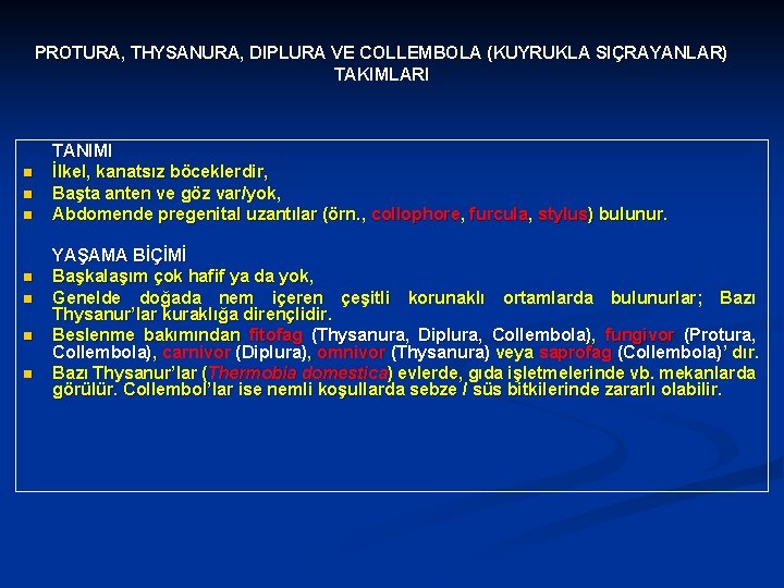 PROTURA, THYSANURA, DIPLURA VE COLLEMBOLA (KUYRUKLA SIÇRAYANLAR) TAKIMLARI n n n n TANIMI İlkel,