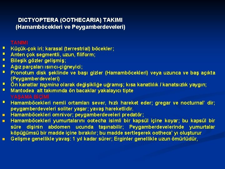 DICTYOPTERA (OOTHECARIA) TAKIMI (Hamamböcekleri ve Peygamberdeveleri) § § § § n n n TANIMI