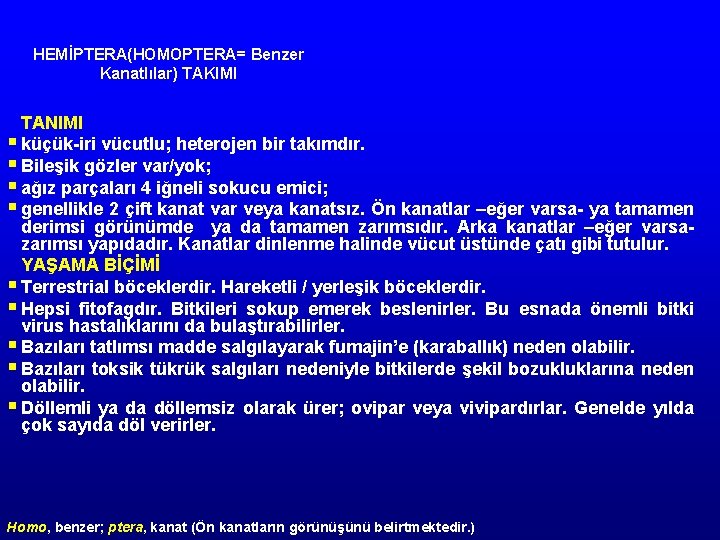 HEMİPTERA(HOMOPTERA= Benzer Kanatlılar) TAKIMI TANIMI § küçük iri vücutlu; heterojen bir takımdır. § Bileşik