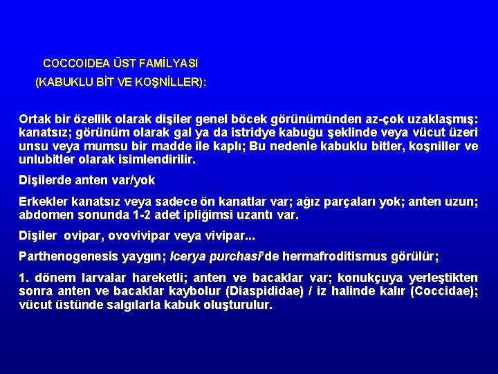 COCCOIDEA ÜST FAMİLYASI (KABUKLU BİT VE KOŞNİLLER): Ortak bir özellik olarak dişiler genel böcek