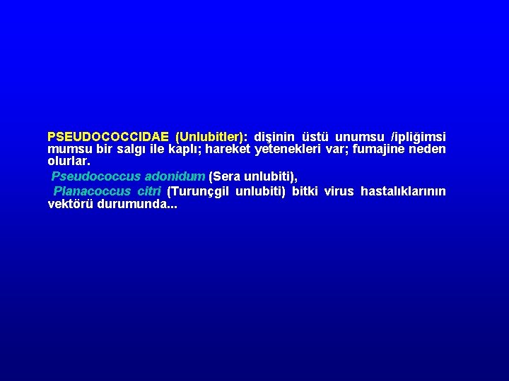 PSEUDOCOCCIDAE (Unlubitler): dişinin üstü unumsu /ipliğimsi mumsu bir salgı ile kaplı; hareket yetenekleri var;