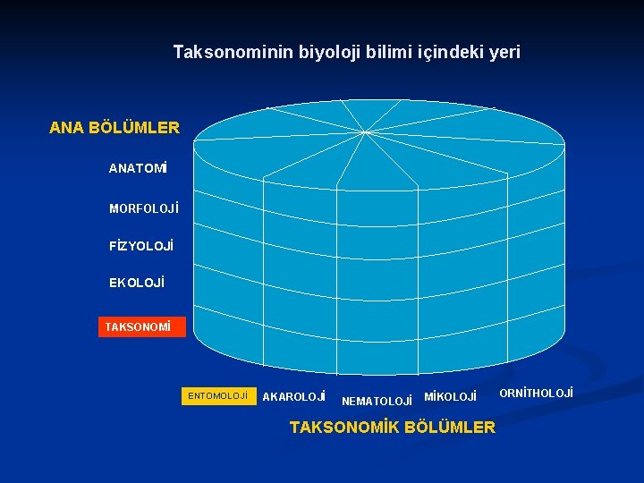 Taksonominin biyoloji bilimi içindeki yeri ANA BÖLÜMLER ANATOMİ MORFOLOJİ FİZYOLOJİ EKOLOJİ TAKSONOMİ ENTOMOLOJİ AKAROLOJİ