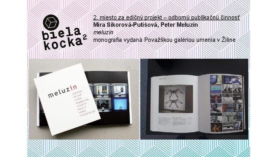 2. miesto za edičný projekt – odbornú publikačnú činnosť Mira Sikorová-Putišová, Peter Meluzin monografia