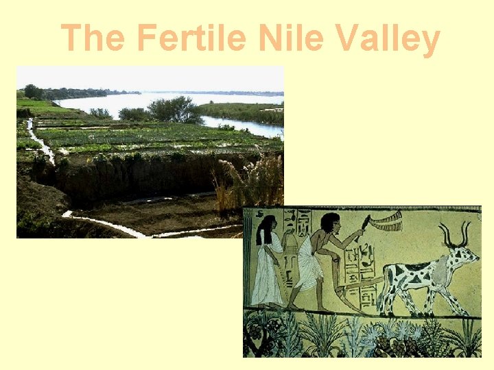 The Fertile Nile Valley 