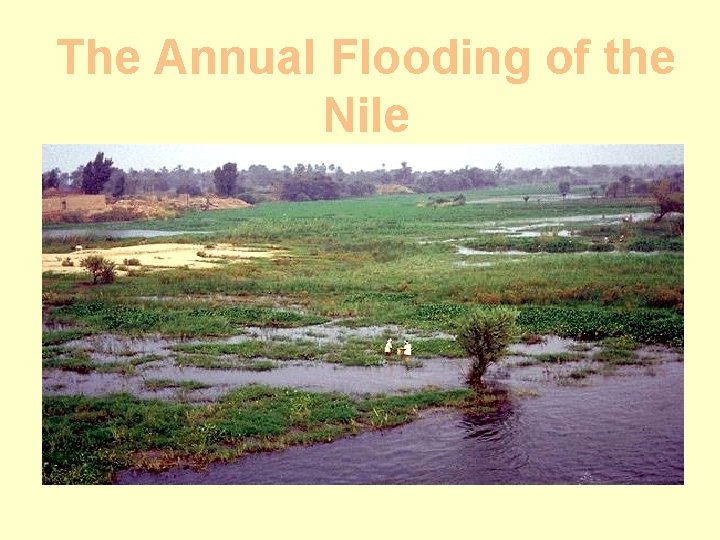 The Annual Flooding of the Nile 