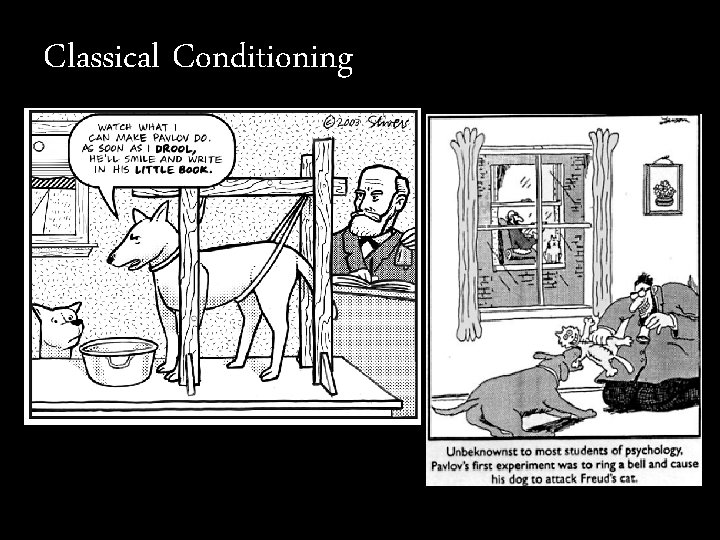Classical Conditioning 