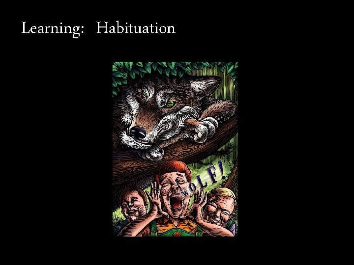 Learning: Habituation 