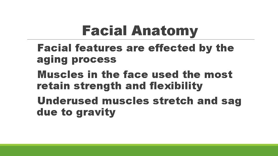 Facial Anatomy Facial features are effected by the aging process Muscles in the face