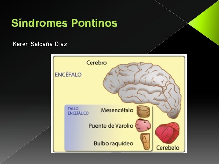Síndromes Pontinos Karen Saldaña Díaz 