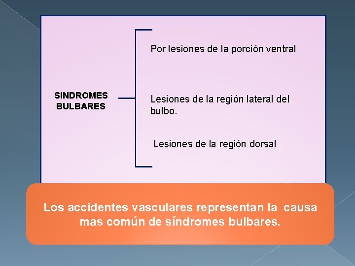 Por lesiones de la porción ventral SINDROMES BULBARES Lesiones de la región lateral del
